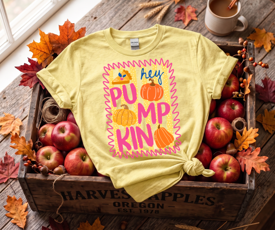 Pumpkin Graphic T-Shirt — "Hey Pumpkin" Fall Tee