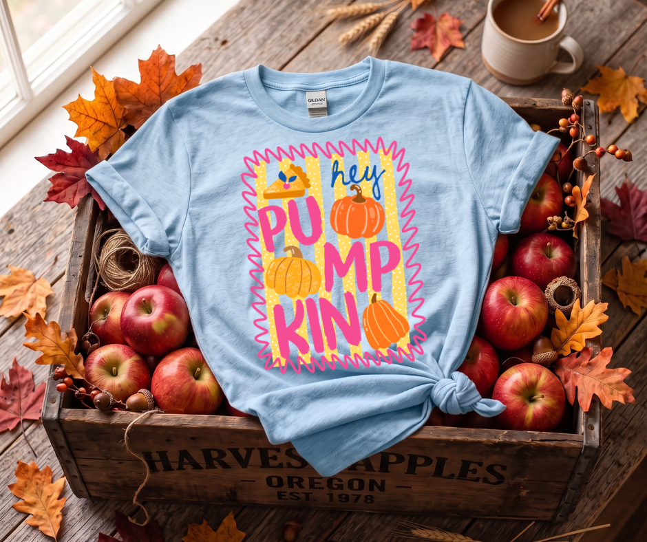 Pumpkin Graphic T-Shirt — "Hey Pumpkin" Fall Tee