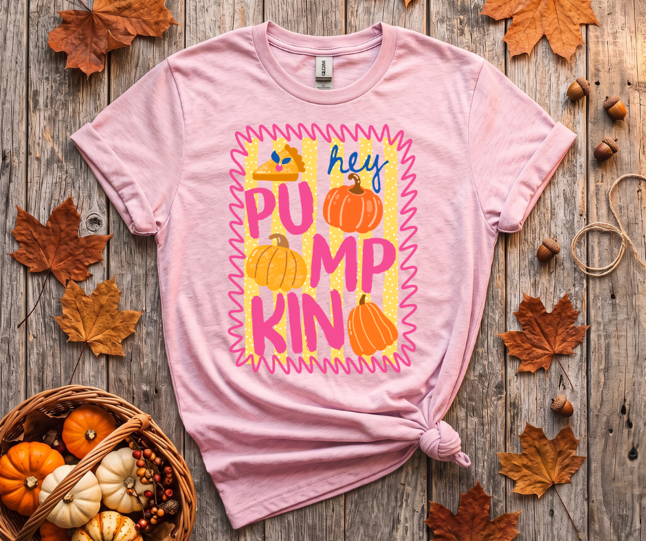Pumpkin Graphic T-Shirt — "Hey Pumpkin" Fall Tee