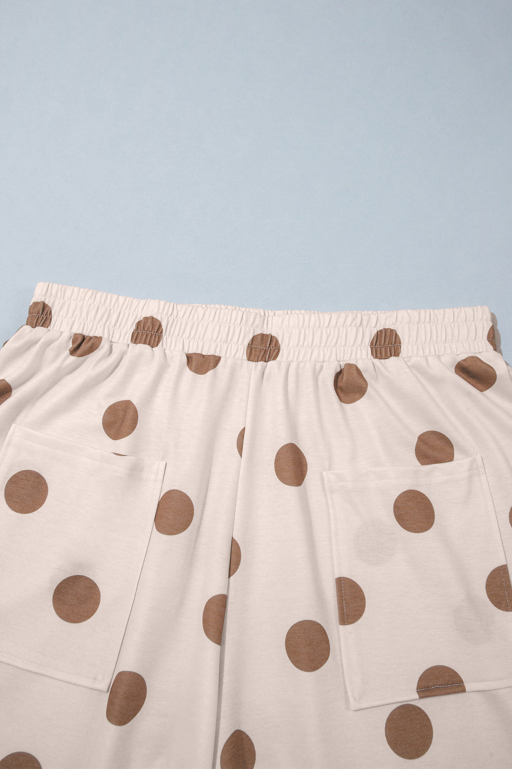 Sky Blue Polka Dot Elastic Waist Wide Leg Plus Size Pants