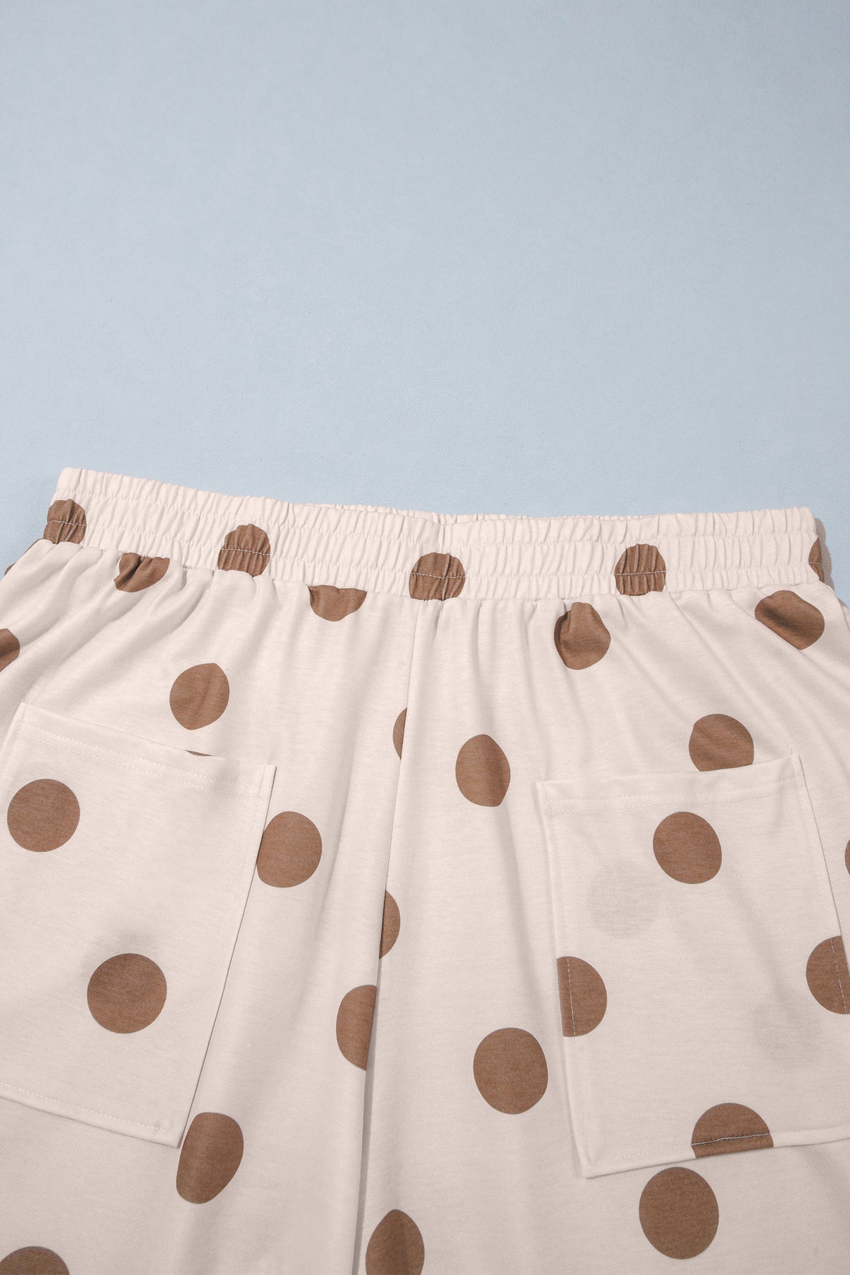 Sky Blue Polka Dot Elastic Waist Wide Leg Plus Size Pants