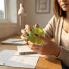 Green Apple Fidget Sensory Toy